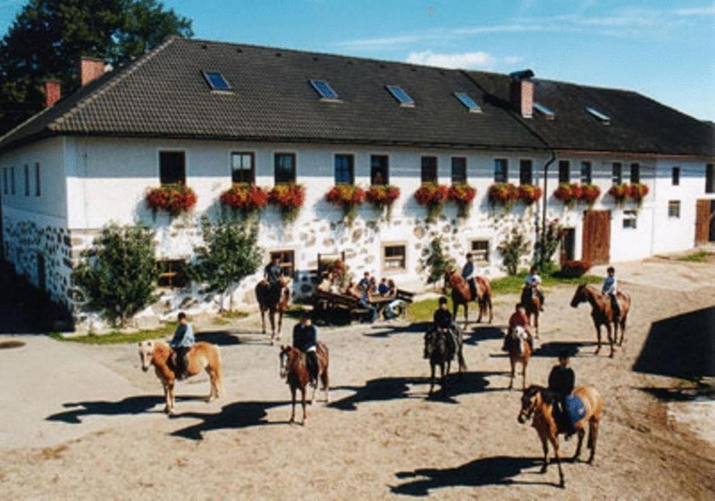 Reiterhof Stoeglehner Villa Rainbach im Mühlkreis Buitenkant foto