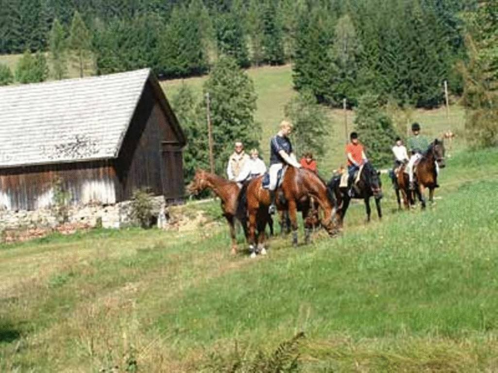Reiterhof Stoeglehner Villa Rainbach im Mühlkreis Buitenkant foto